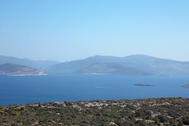 ΓΩΝΙΑΚΟ ΟΙΚΟΠΕΔΟ ΣΕ ΔΙΚΑΣΤΙΚΑ