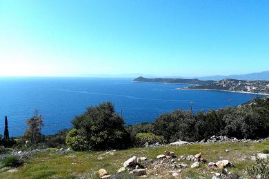 ΓΩΝΙΑΚΟ ΟΙΚΟΠΕΔΟ ΣΤΑ ΔΙΚΑΣΤΙΚΑ