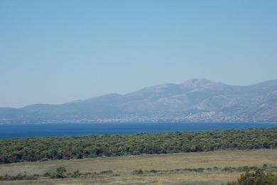 ΟΙΚΟΠΕΔΟ ΣΤΟΝ ΣΧΙΝΙΑ (ΔΙΚΑΣΤΙΚΑ)