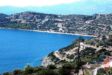 ΓΩΝΙΑΚΟ ΟΙΚΟΠΕΔΑ ΣΤΑ ΔΙΚΑΣΤΙΚΑ