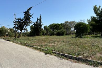 ΓΩΝΙΑΚΟ ΟΙΚΟΠΕΔΟ ΕΠΙ ΤΗΣ ΔΙΚΑΙΟΣΥΝΗΣ, ΣΧΙΝΙΑΣ
