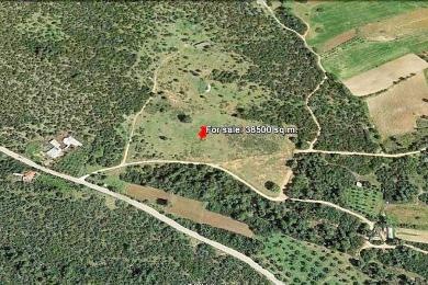 Agricultural Land Plot Sale - GRAMMATIKO, ATTICA