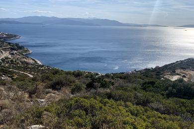 SCHINIAS - DIKASTON & ISANGELEON, Land, Sale, 1040 sq.m