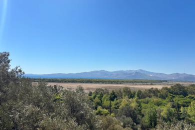 Οικόπεδο προς Πώληση - ΣΧΙΝΙΑΣ - ΔΙΚΑΣΤΩΝ & ΕΙΣΑΓΓΕΛΕΩΝ, ΑΤΤΙΚΗ