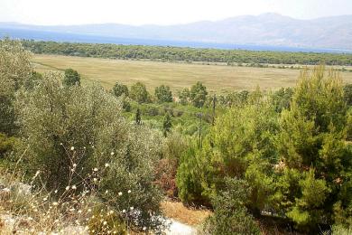 Land Sale - SCHINIAS - DIKASTON & ISANGELEON, ATTICA