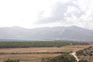 ΟΙΚΟΠΕΔΟ ΣΤΑ ΔΙΚΑΣΤΙΚΑ