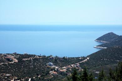 ΓΩΝΙΑΚΟ ΟΙΚΟΠΕΔΟ ΣΤΑ ΔΙΚΑΣΤΙΚΑ